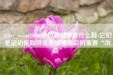 湘西5000米世界冠军穿什么鞋-它们是运动员取得优异成绩背后的重要“功臣”