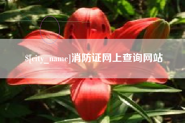湘西消防证网上查询网站