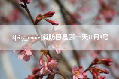湘西消防日是哪一天11月9号