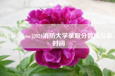 湘西2024消防大学录取分数线公布时间