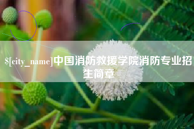 湘西中国消防救援学院消防专业招生简章