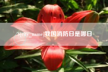 湘西我国消防日是哪日