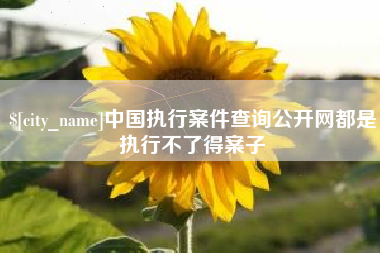 湘西中国执行案件查询公开网都是执行不了得案子