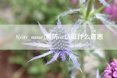 湘西消防ccc认证什么意思
