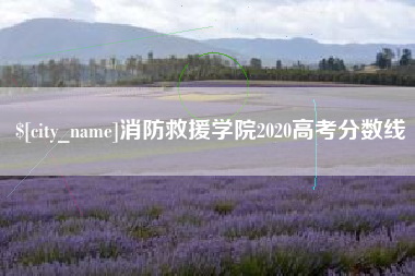 湘西消防救援学院2020高考分数线