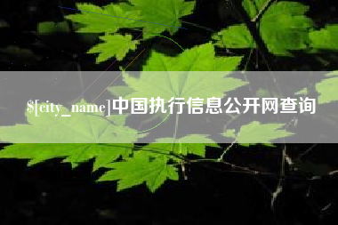 湘西中国执行信息公开网查询