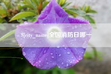 湘西全国消防日哪一