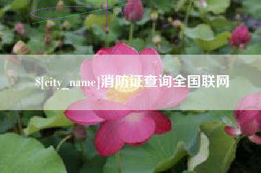 湘西消防证查询全国联网