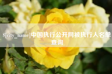 湘西中国执行公开网被执行人名单查询