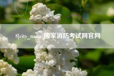 湘西国家消防考试网官网