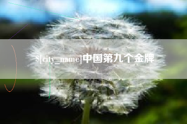 湘西中国第九个金牌