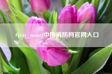 湘西中国消防网官网入口