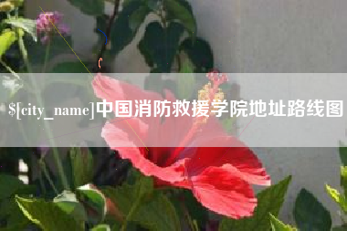 湘西中国消防救援学院地址路线图
