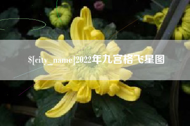 湘西2022年九宫格飞星图