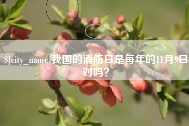 湘西我国的消防日是每年的11月9日对吗？