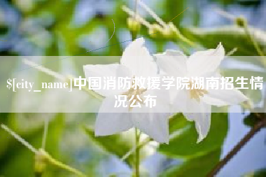 湘西中国消防救援学院湖南招生情况公布