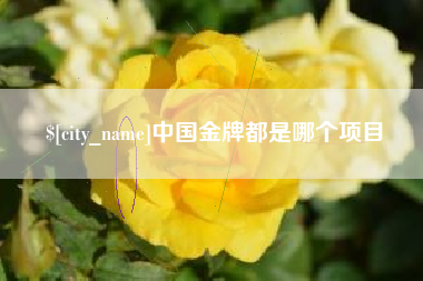 湘西中国金牌都是哪个项目