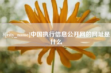 湘西中国执行信息公开网的网址是什么