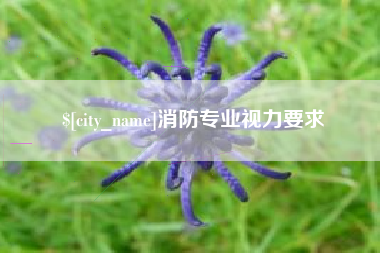 湘西消防专业视力要求
