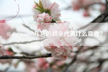 湘西九宫的数字代表什么意思？