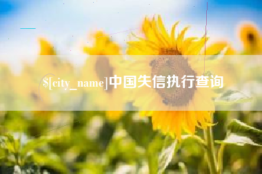 湘西中国失信执行查询