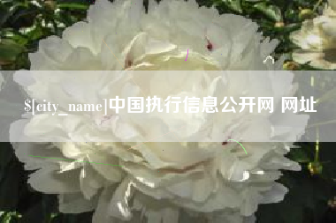 湘西中国执行信息公开网 网址