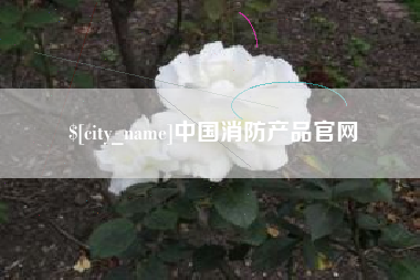 湘西中国消防产品官网