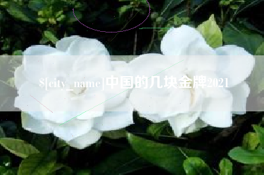 湘西中国的几块金牌2021