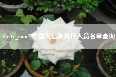 湘西中国失信被执行人员名单查询