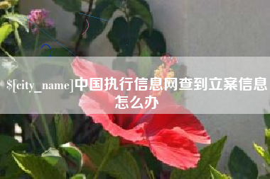 湘西中国执行信息网查到立案信息怎么办