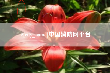 湘西中国消防网平台