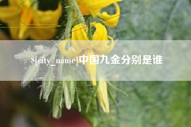 湘西中国九金分别是谁
