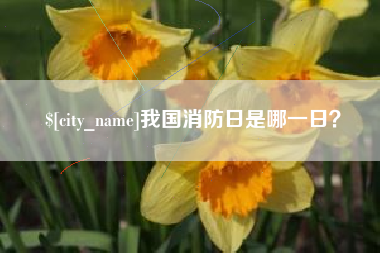 湘西我国消防日是哪一日？
