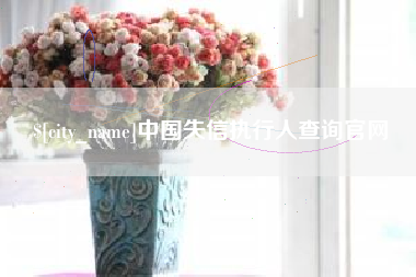 湘西中国失信执行人查询官网