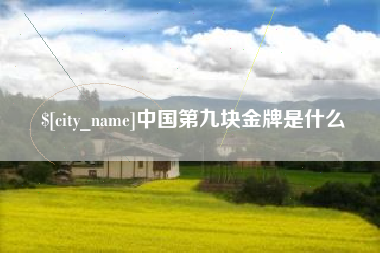 湘西中国第九块金牌是什么