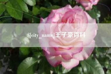 湘西王子豪百科