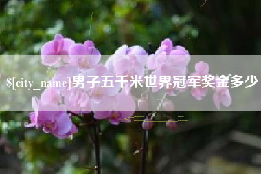 湘西男子五千米世界冠军奖金多少