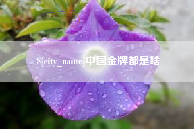 湘西中国金牌都是啥