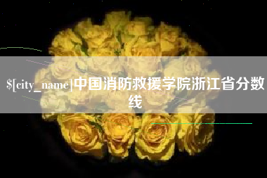 湘西中国消防救援学院浙江省分数线