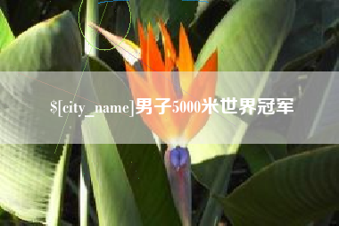 湘西男子5000米世界冠军