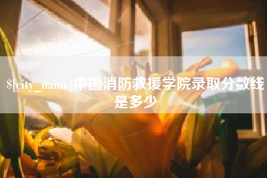 湘西中国消防救援学院录取分数线是多少