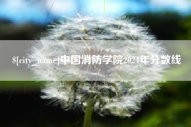 湘西中国消防学院2024年分数线