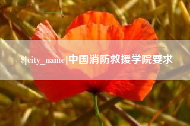 湘西中国消防救援学院要求
