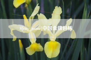 湘西中国金牌包括