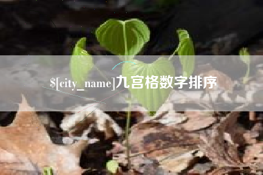 湘西九宫格数字排序