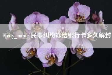湘西民事纠纷冻结银行卡多久解封