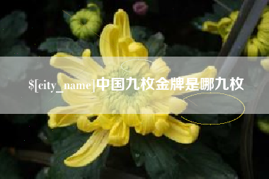 湘西中国九枚金牌是哪九枚