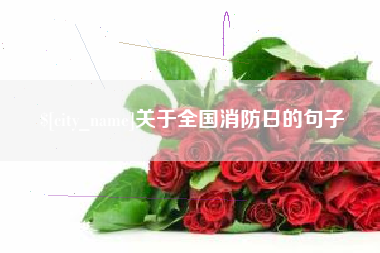 湘西关于全国消防日的句子