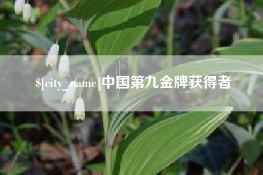 湘西中国第九金牌获得者