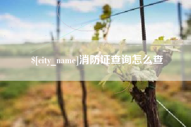 湘西消防证查询怎么查